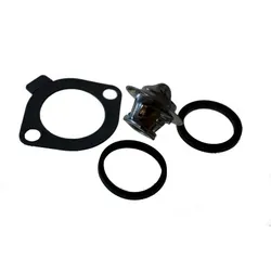 Escort Mk1 Mk2 RS2000 Standard Thermostat Kit