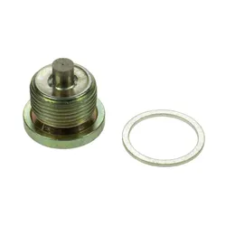 ZF Gearbox Magnetic Drain Plug & Sealing Washer