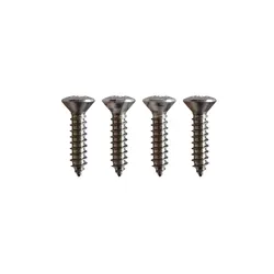 Escort Mk1 Reversing Lamp Screw Set