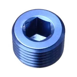 Motamec 1/8" NPT Socket Blanking Plug Alloy Fitting
