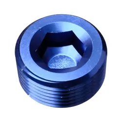 Motamec 1" NPT Socket Blanking Plug Alloy Fitting
