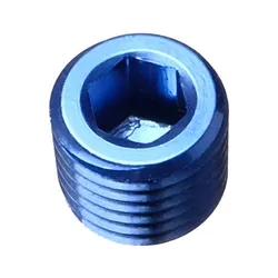 Motamec 1/16" NPT Socket Blanking Plug Alloy Fitting