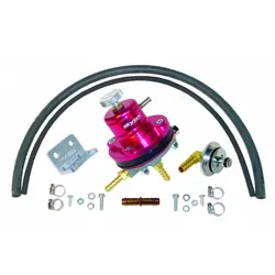 Sytec 1:1 Motorsport Adjustable Fuel Pressure Regulator Kit Red VK-MSV-ECO2-R